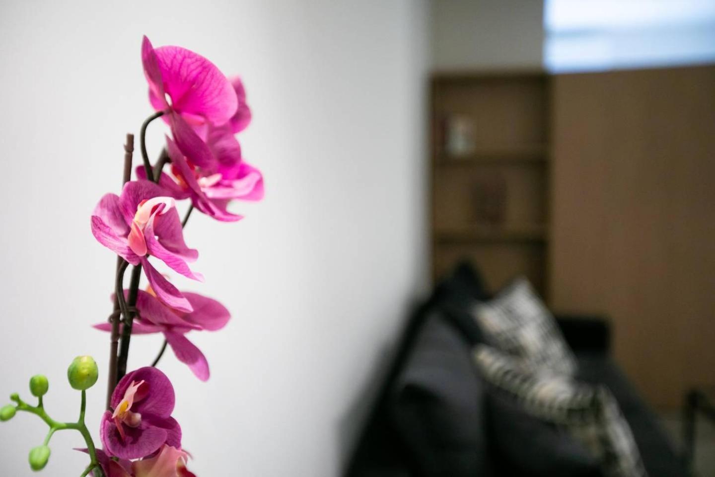 Toni'S Studio Syntagma, 1 Min From Metro Station Αθήνα Εξωτερικό φωτογραφία